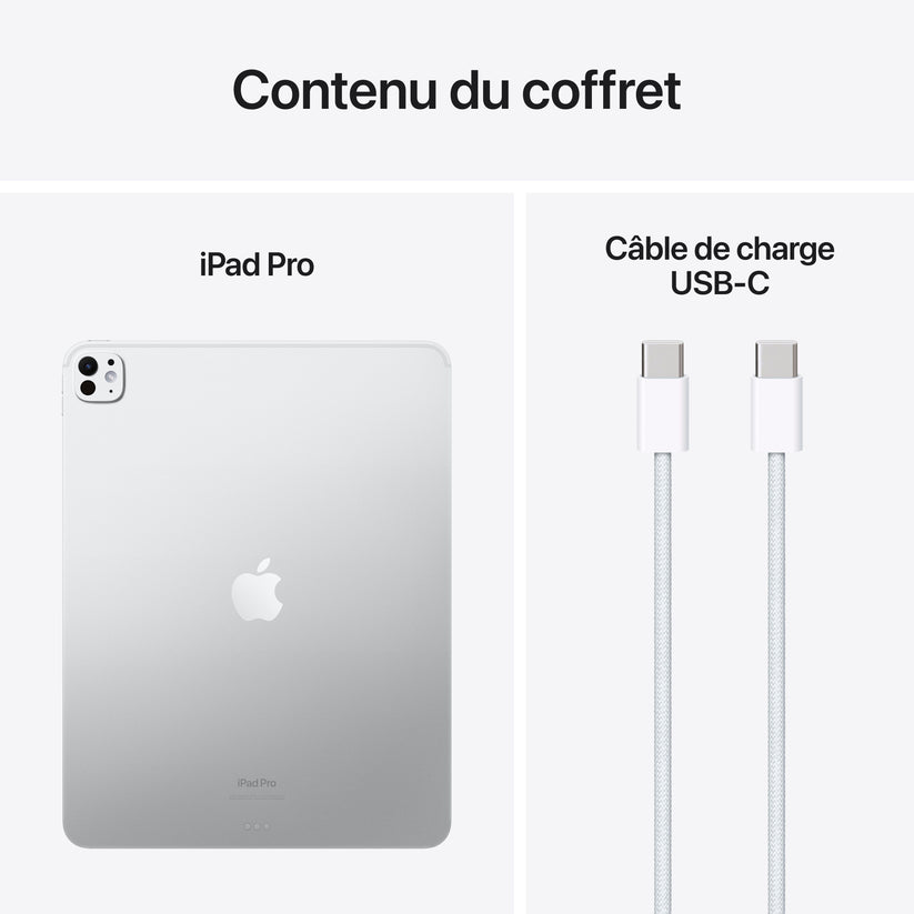 iPad_Pro_13_M4_WiFi_Silver_PDP_Image_Position_9__FRFR