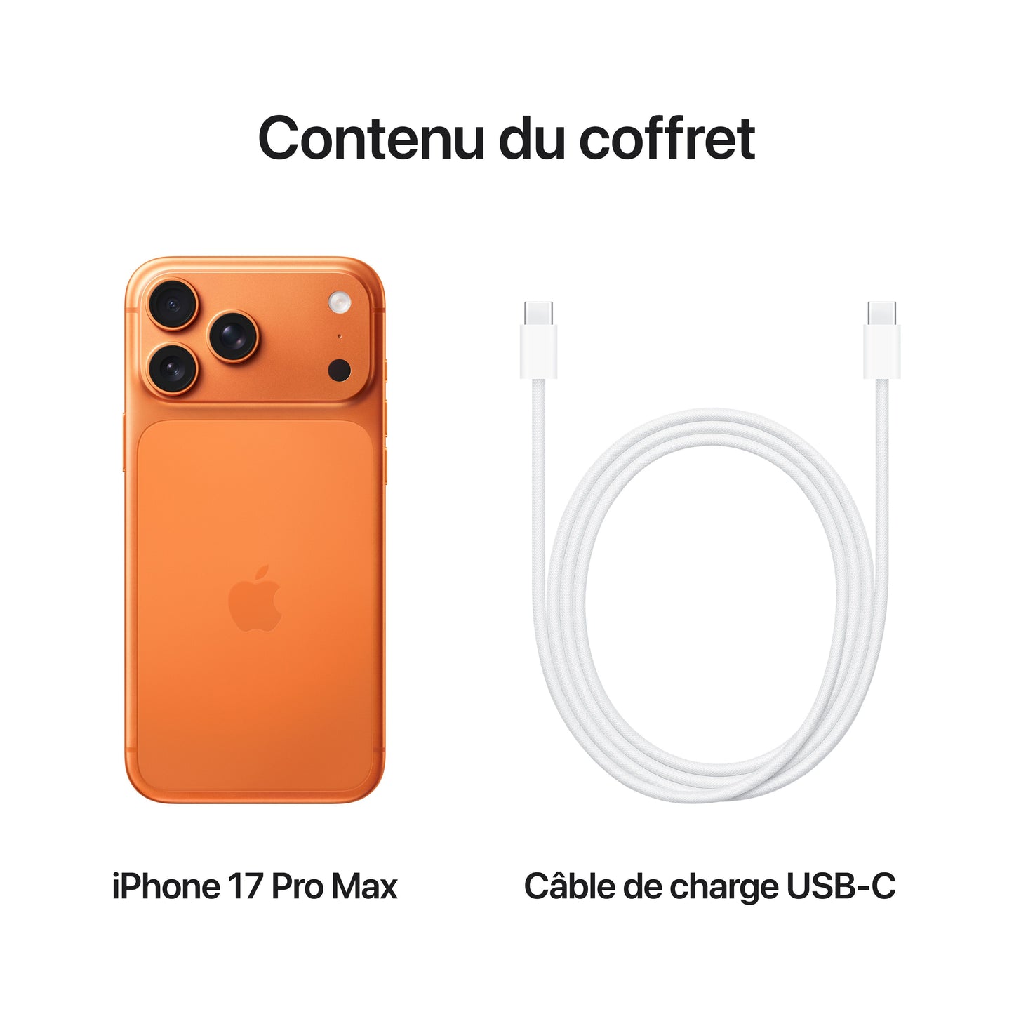 iPhone_17_Pro_Max_Cosmic_Orange_PDP_Image_Position_8__FRFR