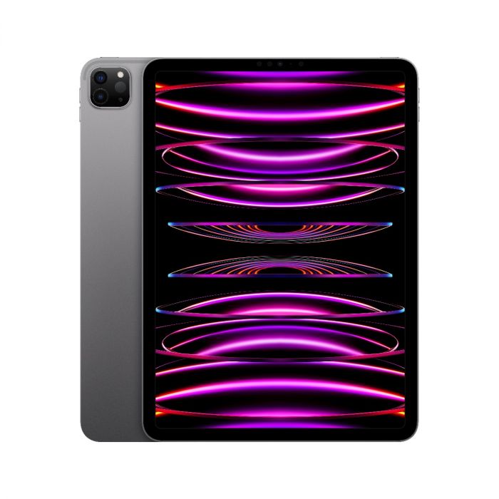  Apple 2021 12.9-inch iPad Pro (Wi‑Fi, 256GB) - Space